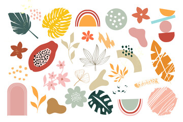Vector illustration set with various doodle shapes of tropical leaves and flowers. Abstract modern and trendy elements isolated