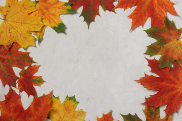 Naklejka na ściany i meble border frame of colorful autumn leaves on gray