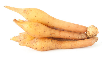 Finger root (Krachai, Kaempferia ) isolated on white background, herb.