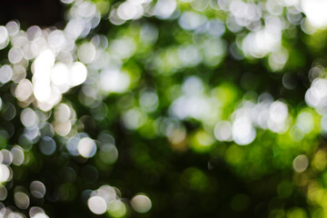 Obraz premium Light bokeh, Abstract blurred background