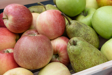 Wooden Crate Box full of Ripe harvested Fruits. Bio organic farm Agriculture concept. Basket with Raw Pears, Green Smith and red apples.