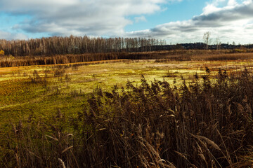 contamination of the reservoir with toxic waste. an oily film on the surface of the water. man poisons nature with harmful emissions. dirty lake due to industry