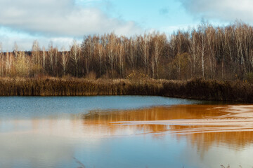 oil spill on the water. an environmental disaster due to the wreck of a tanker. leakage of toxic substances into the water. pollution by water body emissions