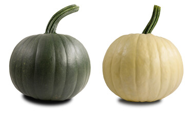 Unusual black and white pumpkins isolated on white background