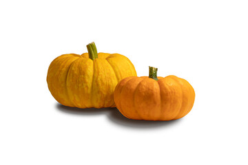 Small pumpkins isolated on white background