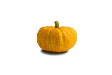 Small pumpkin isolated on white background
