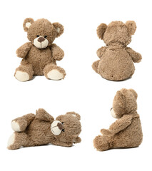 cute brown teddy bear against white isolated background in different poses