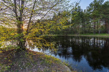 Spring landscape with a view of the river. Evening on the river. Picturesque sunset with a pond.
