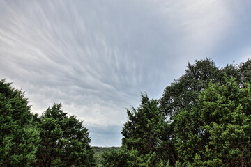 Fototapeta premium Spicewood Clouds