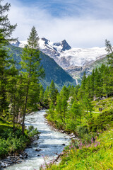 Fototapeta na wymiar Idyllic alpine landscape with Grossvenediger Mountain. Small mountain creek in Gschloess Valley. Hohe Tauern National Park, Austrian Alps
