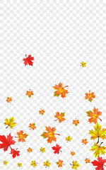 Red Plant Background Transparent Vector. Foliage Abstract Texture. Brown Nature Leaf. Tree Floral Card.