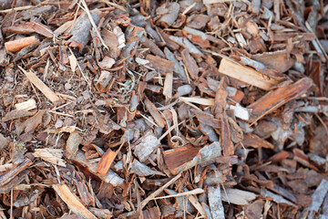 Sawdust, wood shavings. Bark mulch. Close-up of the remains of the bark of trees. Natural material