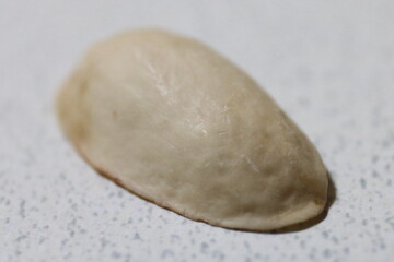 ピスタチオの殻