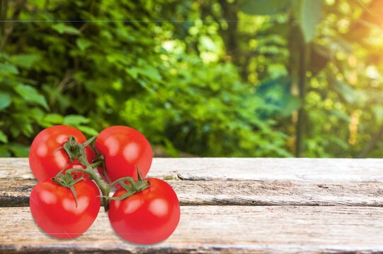 Tomato.