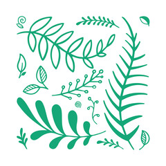 Fototapeta na wymiar Hand drawn plants vector illustrations set. Leaves and branches sketch drawing.
