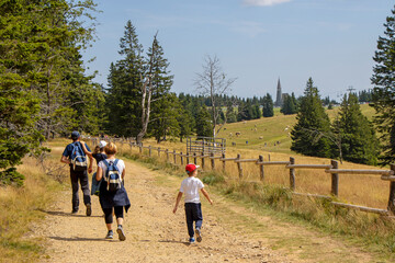 Fototapeta premium Family with small children hiking outdoors in summer nature, walking in Rogla, Slovenia