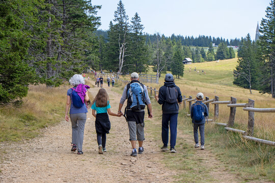 Family with small children hiking outdoors in summer nature, walking in Rogla, Slovenia