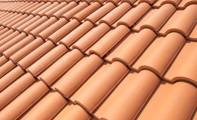 tiles on the roof, the lines of which go to the sky and the distance