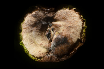 a rotten apple with black mold on a black background.