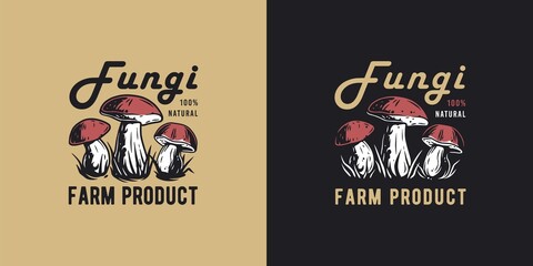 Obraz premium Mushroom boletus or porcini. Autumn forest of mushroom picking with vegetarian fungi for food menu. Organic, natural fungus