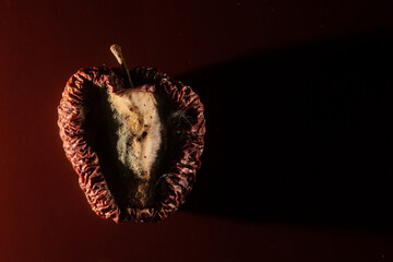 a red rotten apple with mold on a dark background. The worm-eaten fruit of knowledge from the Bible. A bone of contention.