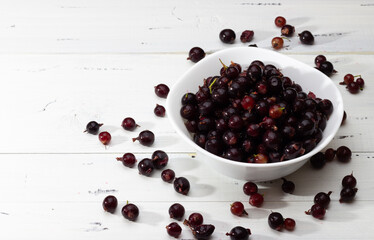 Black currant in a bowl 
