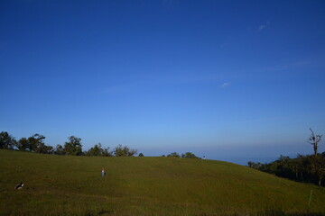 Fototapeta premium landscape in the mountains