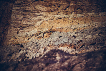 Fragments of an abandoned sand quarry. Soft focus