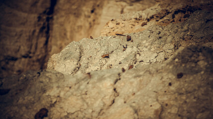 Fragments of an abandoned sand quarry. Soft focus