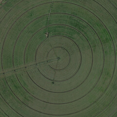 Center (Central) Pivot Irrigaton on Circular Fields Aerial Wiev in Colorado, USA