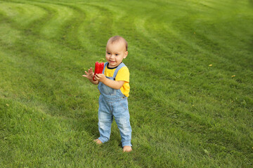 a little boy in a yellow T-shirt is standing on the lawn in the park holding a red bell pepper