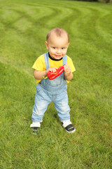 a little boy in a yellow T-shirt is standing on the lawn in the park holding a red bell pepper