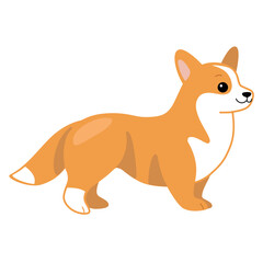 Corgi. Cute dog character. Vector illustration in cartoon style for poster, postcard.