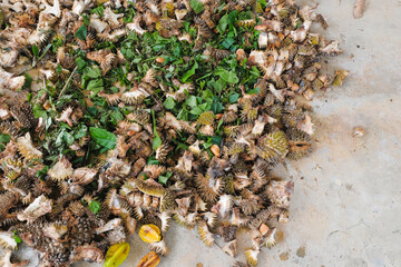 Recycling organic biodegradable material and household waste in composter. Best organic fertilizer.