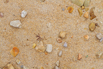 Fototapeta na wymiar Texture of sand and stones on the beach