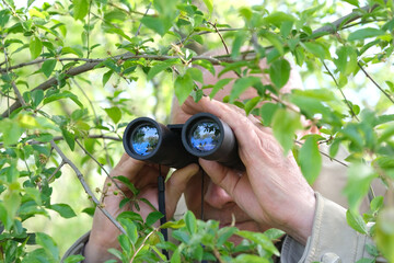 adult man holding black field binoculars with zoom, hiding in greenery, peeping out of green...