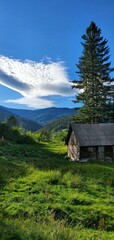 Fototapeta na wymiar Tiny house in the carpathian mountains