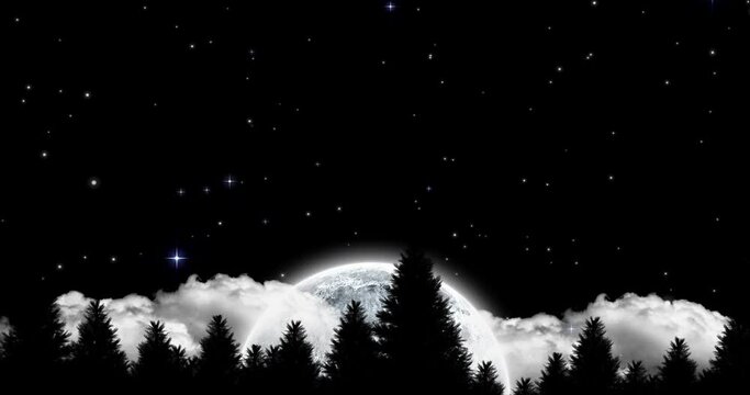 Animation of fir trees over moon and sky at night