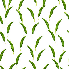 Seamless pattern with banana leaves print.