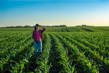 Female caucasian maize farmer with tablet computer inspecting stalks at field