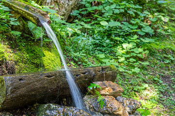 Drinking water fountain made of wood with fresh spring water in a forest in the Tyrolian Alps in Austria