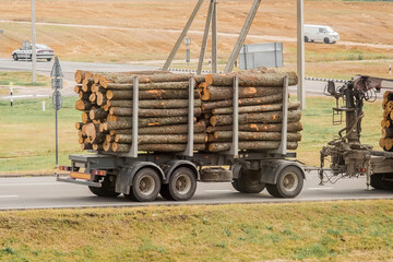Obraz premium The machine transports wooden logs. Cargo transportation of wood and boards