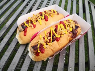 2 hot dogs garnished with onions, ketchup and mustard