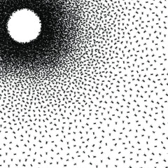 Black little ants. Vector illustration. 