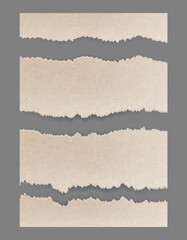 Torn ripped cardboard. Textured set. Vector 