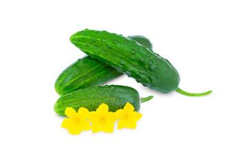 Heap of ripe cucumbers, cucumber and flowering isolate