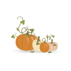 Orange, white pumpkins set with green leaves isolated on white. Autumn harvest. For halloween and thanksgiving day design. Doodle cartoon horizontal banner. Flat vector illustration, isolated objects.