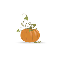 Orange pumpkin with green leaves isolated on white. Autumn harvest. For halloween and thanksgiving day design. Doodle cartoon horizontal banner. Flat vector illustration, isolated objects.
