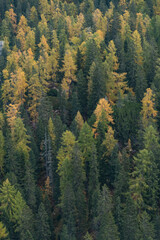  Dolomitas no outono, Cortina D'Ampezzo na Itália. Zig Koch