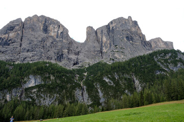 Obraz premium Alta Badia (Dolomiti) - August: Beautiful summer mountain view of Passo Sella and high peak Sassopiatto and Sassolungo, Langkofel, Dolomiti, Sella group. Green meadows and pastures, alpine dolomites